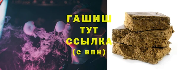 гашик Алексин