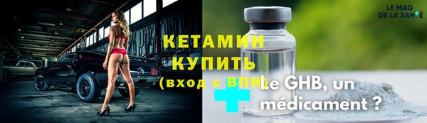 гашик Алексин