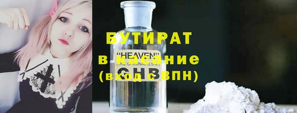 гашик Алексин