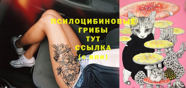 гашик Алексин