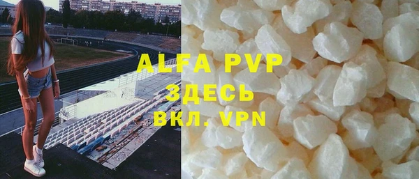 гашик Алексин