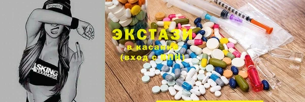 гашик Алексин