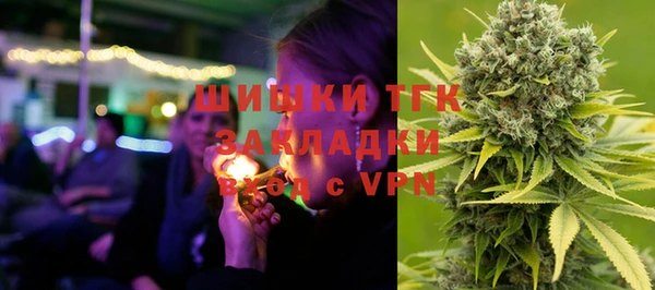 гашик Алексин