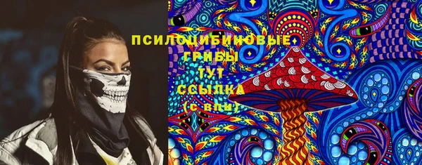 гашик Алексин