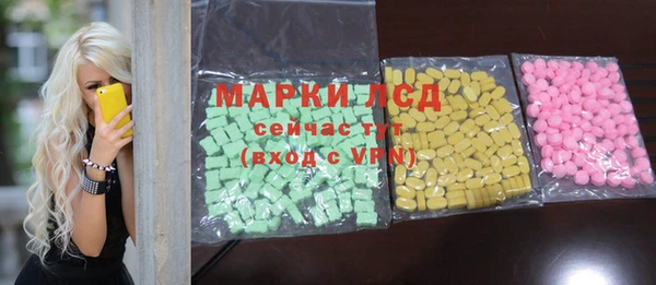 гашик Алексин