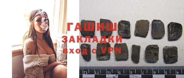 гашик Алексин